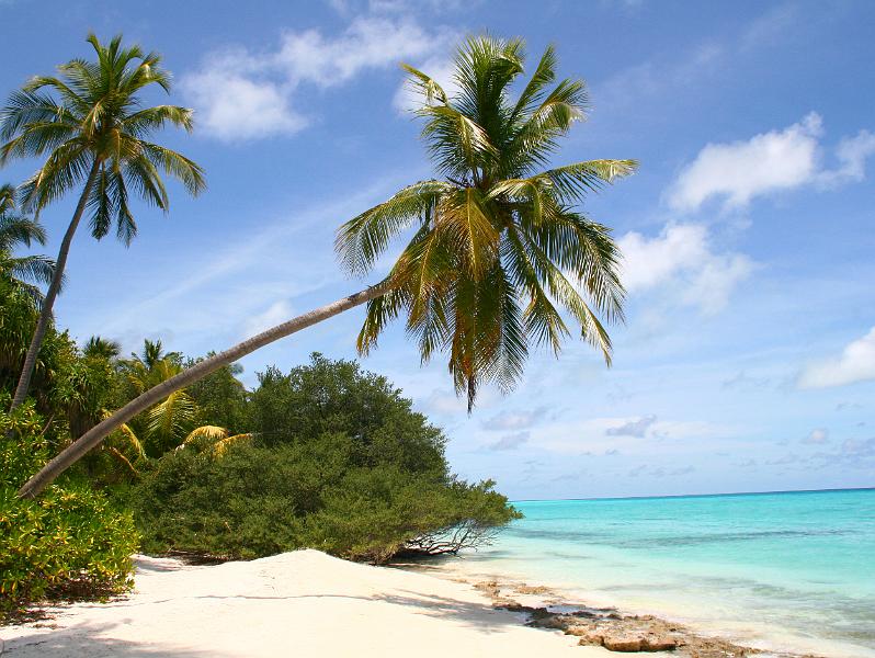 Kuramathi (199).jpg